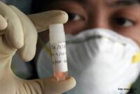 Prioritas pada agenda kesehatan akan dicapai melalui koordinasi antara keuangan dan kebijakan kesehatan. (Dok. Kemenkeu.go.id)