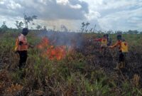Kebakaran lahan seluas 7,5 Ha terjadi di Kecamatan Sukamara, Desa Natai Sedawak Kabupaten Sukamara, Provinsi Kalimantan Tengah. (Dok. BNPB)