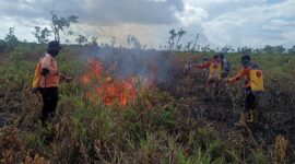 Kebakaran lahan seluas 7,5 Ha terjadi di Kecamatan Sukamara, Desa Natai Sedawak Kabupaten Sukamara, Provinsi Kalimantan Tengah. (Dok. BNPB)