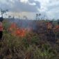 Kebakaran lahan seluas 7,5 Ha terjadi di Kecamatan Sukamara, Desa Natai Sedawak Kabupaten Sukamara, Provinsi Kalimantan Tengah. (Dok. BNPB)