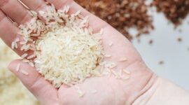 Food Station pastikan stok beras DKI tak berkurang meski harga naik. (Pexels.com/
Polina Tankilevitch)
