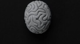 Ilmuwan identifikasi protein di otak untuk pengobatan skizofrenia. (Pexels.com/EKATERINA BOLOVTSOVA)