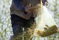 Ilustrasi Jenis Pupuk. (Pixabay.com/nguyendinhson067)