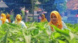 Program BRInita menjadi salah satu komitmen nyata BRI untuk pelestarian lingkungan di tengah kota yang memanfaatkan lahan sempit di wilayah padat pemukiman. (Dok. BRI)