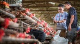 Bank BRI targetkan penyaluran Kredit Usaha Rakyat (KUR) rampung pada bulan September 2024. (Dok. BRI)