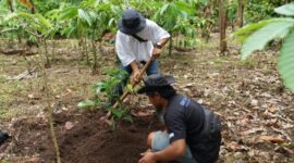 Guna melakukan pemberdayaan, Program BRI Menanam Grow & Green yang berkolaborasi dengan Yayasan Bakau Manfaat Universal. (Dok. BRI)