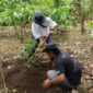 Guna melakukan pemberdayaan, Program BRI Menanam Grow & Green yang berkolaborasi dengan Yayasan Bakau Manfaat Universal. (Dok. BRI)