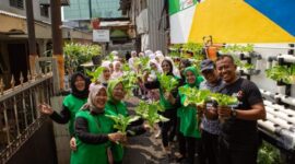 Didukung program BRI Peduli Bertani di Kota (BRInita), kelompok PKK Rawa Barat berhasil memanfaatkan lahan sempit dengan melakukan budidaya tanaman hidroponik dan ikan nila. (Dok. BRI)