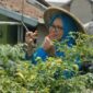 Urban Farming di Kelurahan Padjajaran, Kecamatan Cicendo, Kota Bandung. (Dok. BRI)