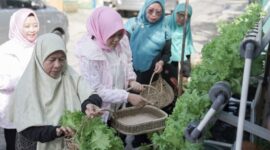 CSR BRI Peduli BRInita (Bertani di Kota) bersama warga Kelurahan Surabaya, Kecamatan Kedaton, Kota Bandar Lampung berkolaborasi mengambil peran dalam perbaikan dan pelestarian lingkungan masyarakat sekitar. (Dok. BRI)