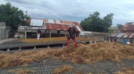 Klaster Usaha Rumput Laut di wilayah Kampung Pogo. (Dok. BRI)