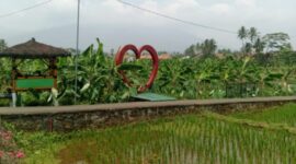 Desa BRILiaN. (Dok. BRI)