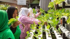 BRI mengambil bagian penting dengan melakukan pemberdayaan masyarakat, terutama kaum Wanita dengan membuat ekosistem urban farming yang berkelanjutan. (Dok. BRI)