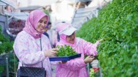 Corporate Social Responsibility (CSR) BRI Peduli Bertani di Kota ‘BRInita’ x Kelompok Dasawisma Pisang. (Dok. BRI)