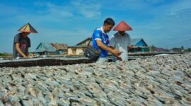 Penyaluran kredit BRI tercatat tumbuh double digit, yakni 10,8% secara tahunan (yoy) dari periode yang sama tahun lalu, sebesar Rp710,9 triliun dan tetap berfokus pada sektor UMKM. (Dok BRI)