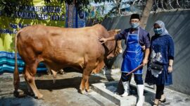 Sukateno mengawali usaha Trimandiri Farm dengan bermodalkan pinjaman Kredit Usaha Rakyat (KUR) dari BRI dan hingga kini usahanya sudah berjalan selama 9 tahun. (Dok. Bank BRI)