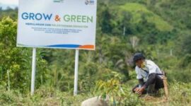 BRI Menanam - Grow and Green. (Dok. BRI)