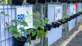 Dok. Bank Raykat Indonesia (BRI)