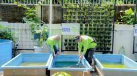 Program BRINita menjadi peluang baru bagi warga RW 07 Cempaka Putih Barat untuk lebih produktif. (Dok. BRI)