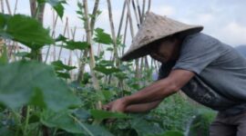 Produk olahan bambu menjadi salah satu UMKM unggulan Desa Angseri. (Dok. BRI)