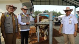 Wakil Menteri Pertanian (Wamentan) Sudaryono Optimistis Indonesia Wujudkan Swasembada Susu dan Daging Sapi. (Dok. Pertanian.go.id)