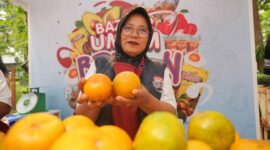 BRI memiliki komitmen yang kuat untuk terus mendorong pemberdayaan pada Usaha Mikro, Kecil dan Menengah (UMKM). (Dok. Bank BRI)