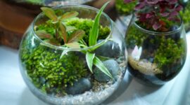 MINIMIZU, Brand di bidang seni kreatif asal Ciputat Tangerang Selatan yang digagas oleh pasangan suami istri Bernama Agri dan Irna. (Dok. BRI)