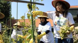 Dukung pemberdayaan wanita dan keseimbangan lingkungan, BRI dapatkan penghargaan CSR untuk negeri dalam ajang Merdeka Award 2024. (Dok. BRI)