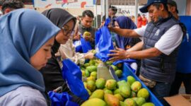 Abu Sufyan, seorang petani mangga dari Desa Botolinggo yang berhasil meningkatkan skala usahanya secara signifikan berkat dukungan pemberdayaan dari BRI. (Dok. BRI)