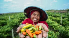 BRI terus membuktikan keseriusan dalam menjalankan perannya sebagai lembaga keuangan yang mendukung transisi menuju ekonomi hijau dan inklusif. (Dok. BRI)