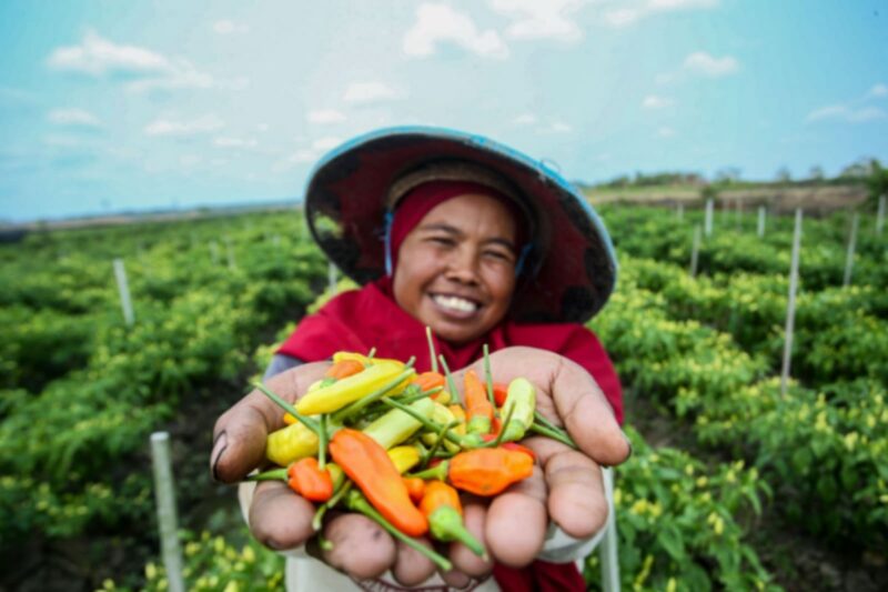 BRI terus membuktikan keseriusan dalam menjalankan perannya sebagai lembaga keuangan yang mendukung transisi menuju ekonomi hijau dan inklusif. (Dok. BRI)