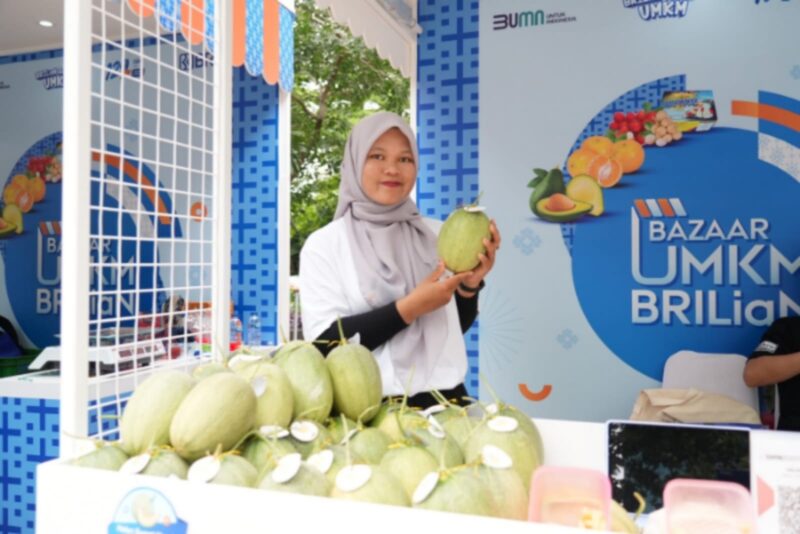 Melon Premium berbasis teknologi hidroponik dari Desa Bansari, Kabupaten Temanggung, Jawa Tengah. (Dok. BRI)