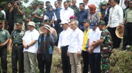 Ketua Komisi IV DPR RI, Titiek Soeharto saat meninjau jalanya panen raya bersama Menteri Pertanian Andi Amran Sulaiman di Kabupaten Bantul. (Dok. Kementerian Pertanian)