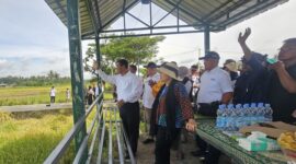 Ketua Komisi IV DPR RI, Titiek Soeharto saat meninjau jalanya panen raya bersama Menteri Pertanian Andi Amran Sulaiman di Kabupaten Bantul. (Dok. Kementerian Pertanian)