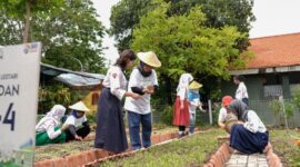 BRI melalui aktivitas Corporate Social Responsibility (CSR) mengambil bagian dalam mendukung peran wanita melalui program BRInita (BRI Bertani di Kota). (Dok. BRI)