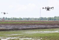 Presiden Prabowo Subianto melakukan kunjungan kerja di Provinsi Sumatera Selatan (Sumsel) yang didampingi oleh Menteri Pertanian Andi Amran Sulaiman. (Dok. Biro Pers, Media, dan Informasi Sekretariat Presiden)