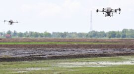 Presiden Prabowo Subianto melakukan kunjungan kerja di Provinsi Sumatera Selatan (Sumsel) yang didampingi oleh Menteri Pertanian Andi Amran Sulaiman. (Dok. Biro Pers, Media, dan Informasi Sekretariat Presiden)