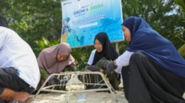 Program BRI Menanam - Grow and Green di Pulau Kapoposang, Kabupaten Pangkajene Kepulauan (Pangkep), Sulawesi Selatan. (Dok. BRI)