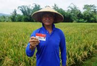 Selamat Hari Tani Nasional! BRI bangga menjadi mitra strategis petani Indonesia. Kami akan terus dukung sektor pertanian melalui berbagai program. (Dok. BRI)