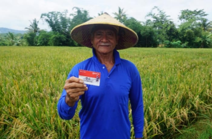 Selamat Hari Tani Nasional! BRI bangga menjadi mitra strategis petani Indonesia. Kami akan terus dukung sektor pertanian melalui berbagai program. (Dok. BRI)