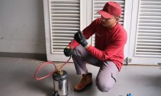 Rayap di Hunian Eksklusif Bandung: Ancaman Tersembunyi di Balik Kemewahan